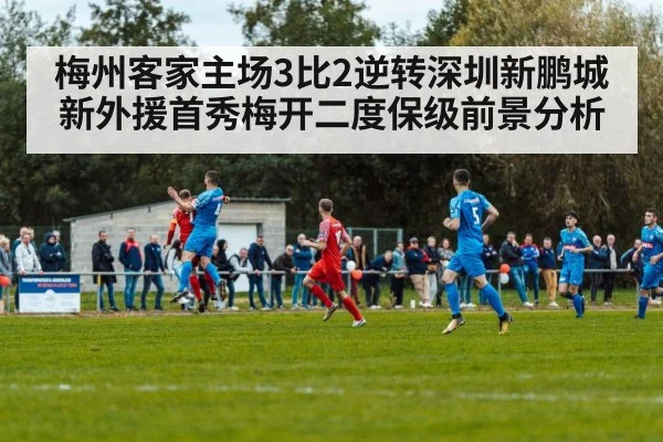soccer match action