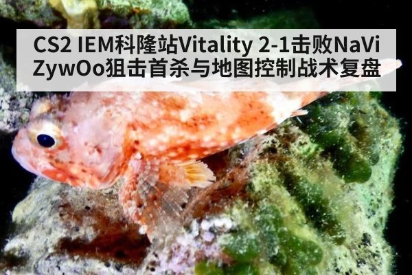 CS2 IEM科隆站Vitality 2-1击败NaVi ZywOo狙击首杀与地图控制战术复盘