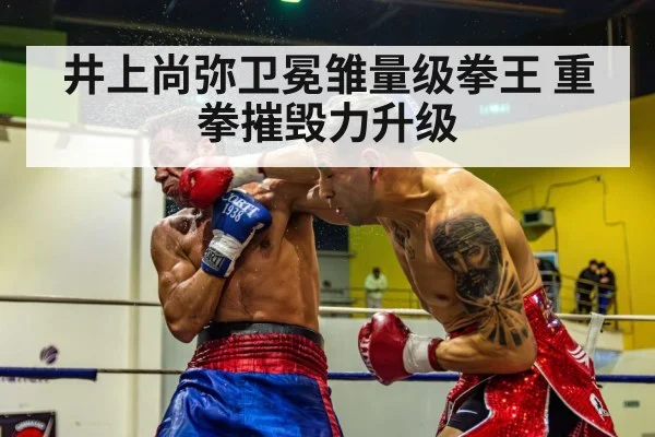 井上尚弥卫冕雏量级拳王 重拳摧毁力升级