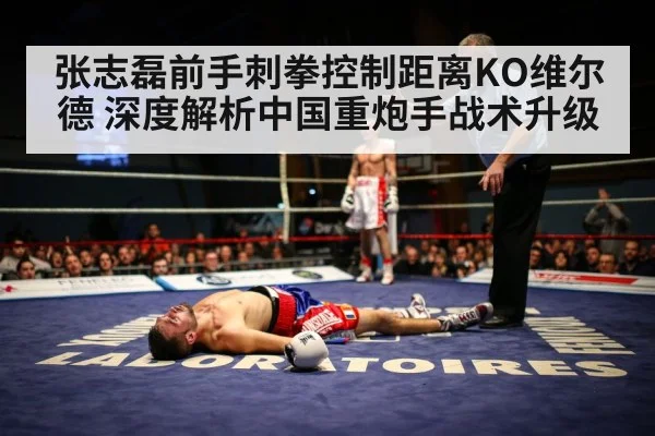 张志磊前手刺拳控制距离KO维尔德 深度解析中国重炮手战术升级